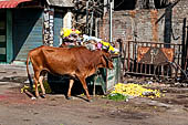 Kumbakonam Tamil-Nadu. The bazaar